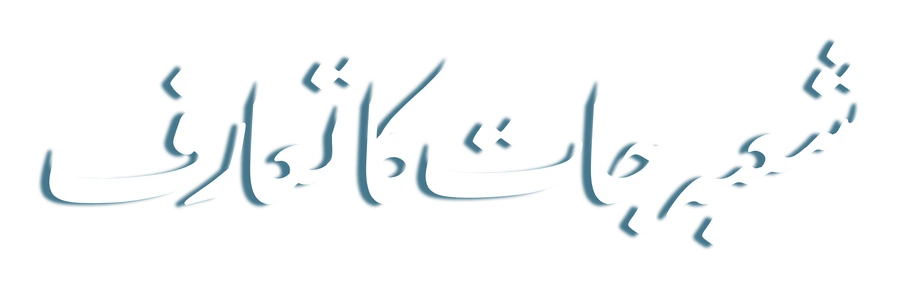 شعبہ جات کا تعارف