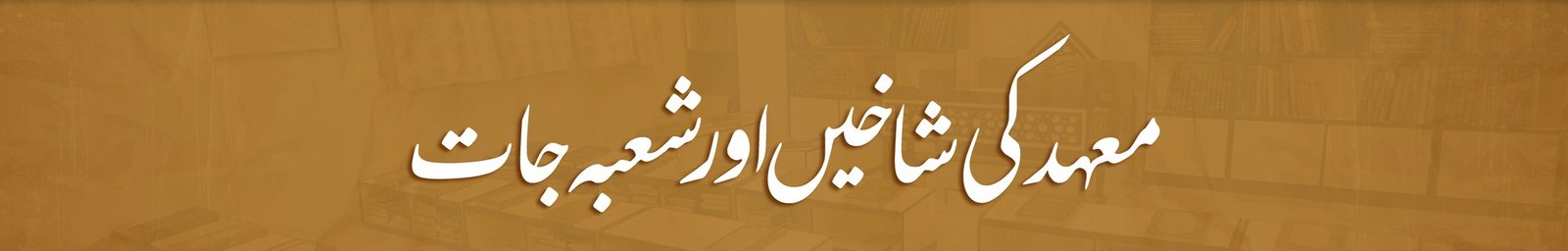 معہد کی شاخیں اور شعبہ جات